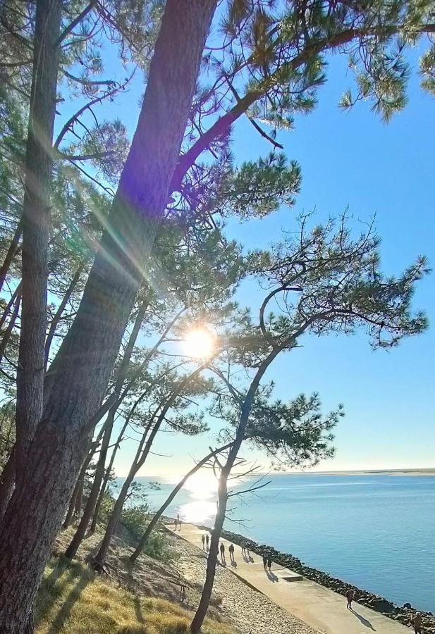 La Cabane Boheme, Maison D'Hotes Bassin D'Arcachon กูฌ็อง-เมสทราส ภายนอก รูปภาพ