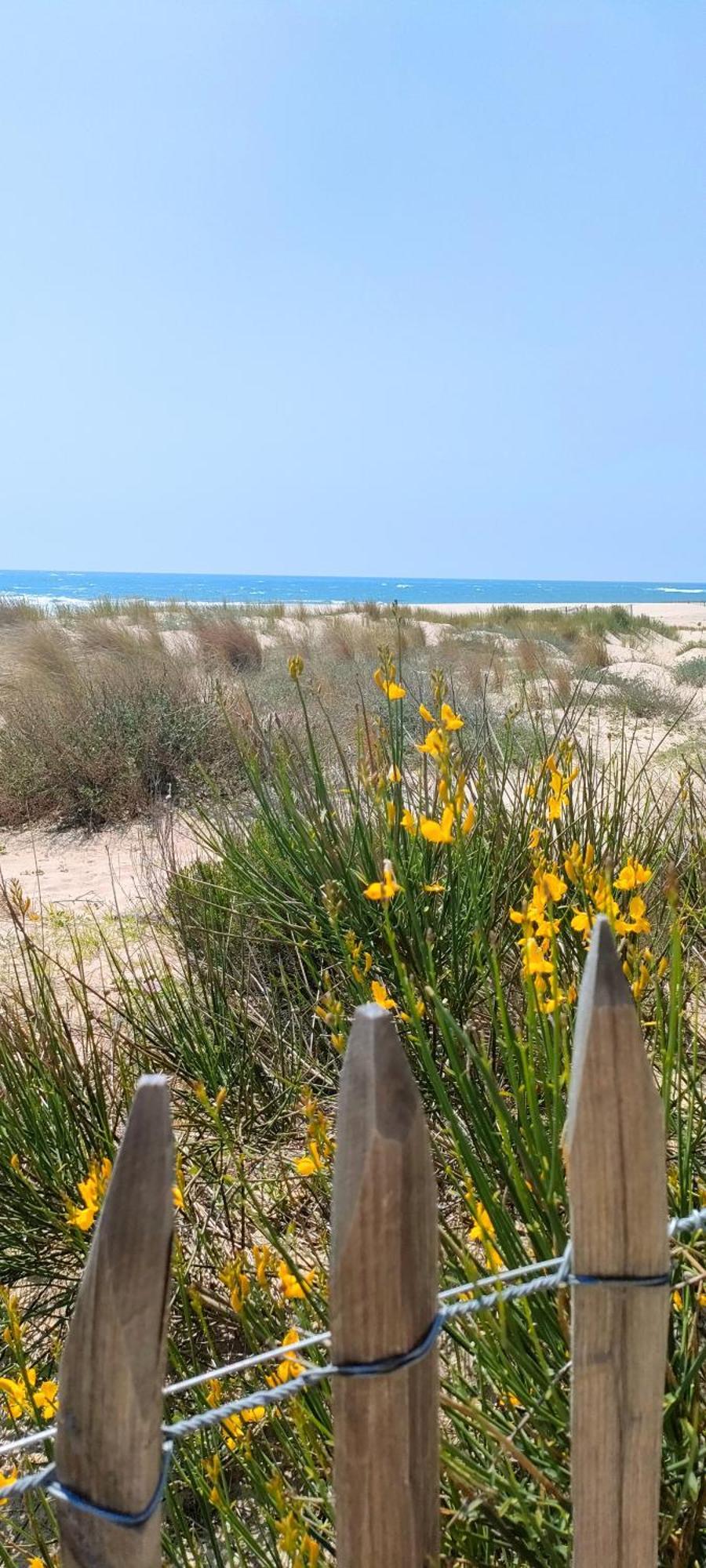 La Cabane Boheme, Maison D'Hotes Bassin D'Arcachon กูฌ็อง-เมสทราส ภายนอก รูปภาพ